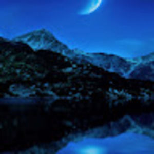 Meet your Posher, Wayne